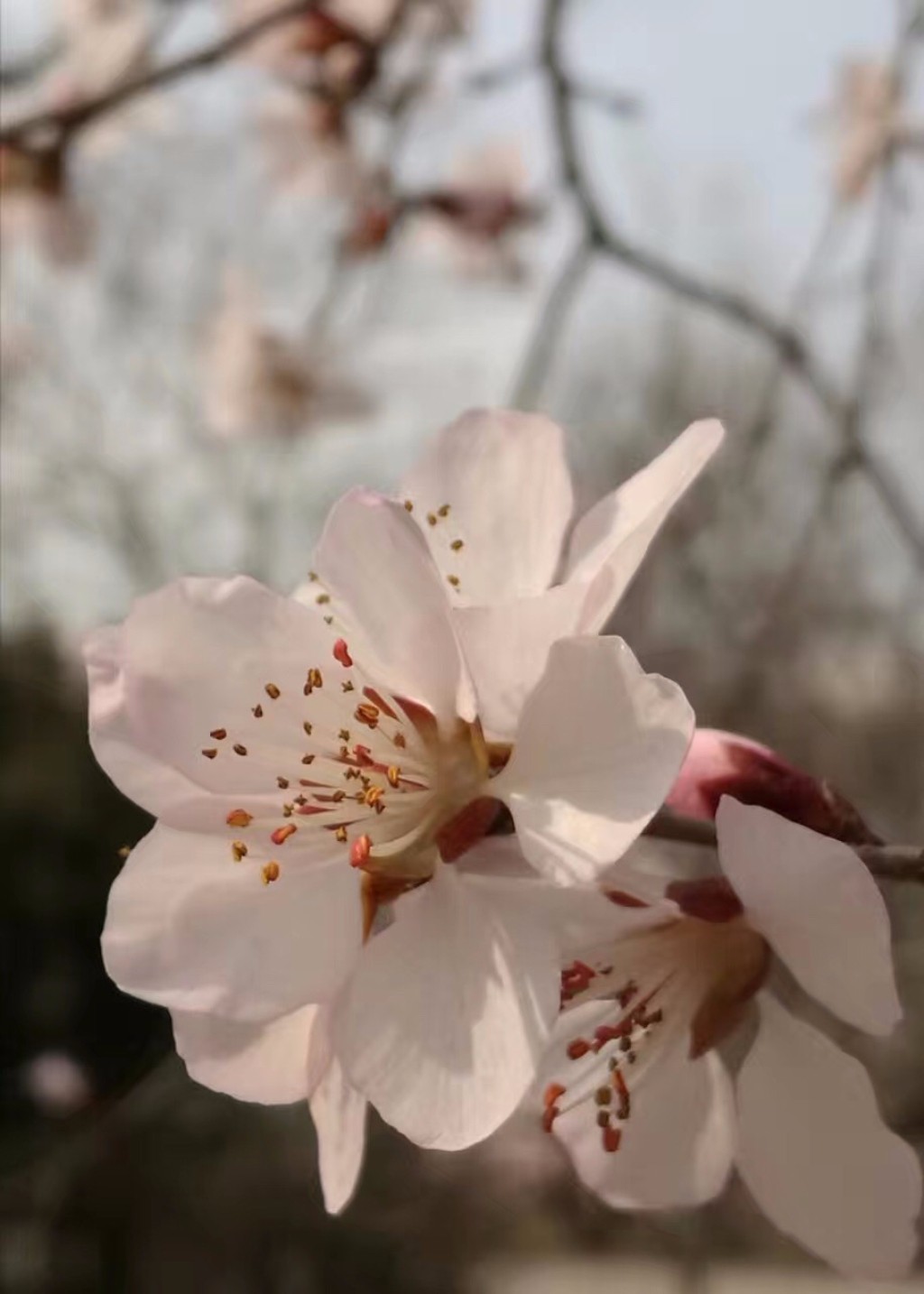 爱我亚太——25周年校庆系列活动之“爱”校