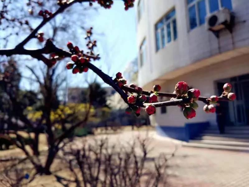 爱我亚太——25周年校庆系列活动之“爱”校