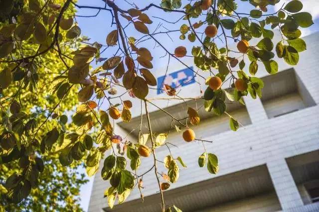 爱我亚太——25周年校庆系列活动之“爱”校