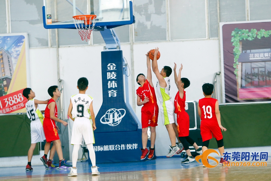 东莞市小学篮球赛2021,2020年东莞市小学篮球锦标赛