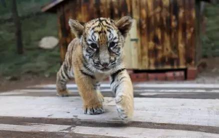 青岛7月旅游优惠,519中国旅游日青岛分会场