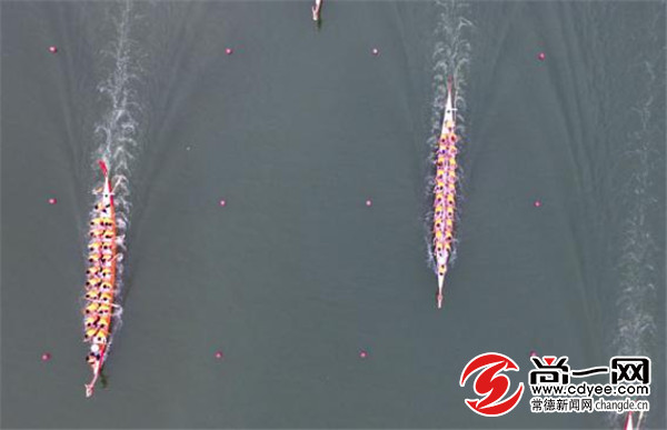 中塘河现场直播龙舟比赛,中德龙舟赛