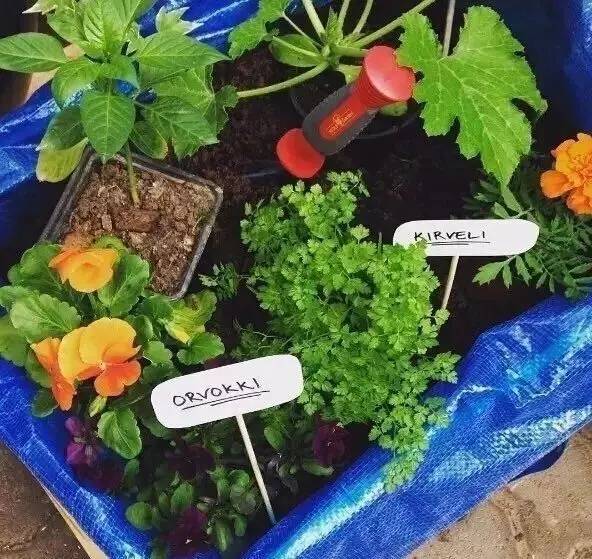 0.99PK2145美元！你最熟悉的宜家大蓝包出了巴黎世家同款