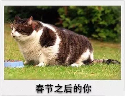 放下手中筷子,放下手里的筷子视频