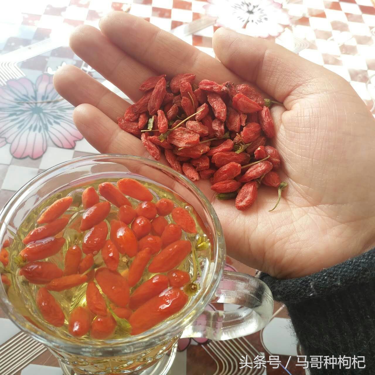 吃枸杞没效果,吃对枸杞才能养生