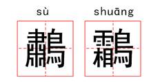 中国古代怪鸟,古代有什么奇特的鸟