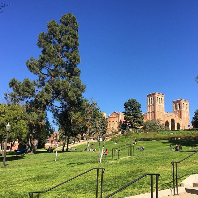 加州大学洛杉矶分校对比ucl,ucla加州大学洛杉矶分校