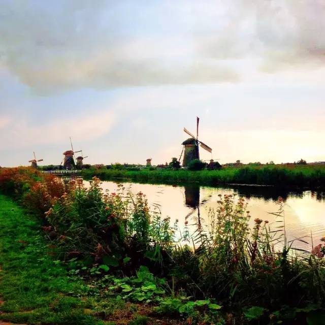 你追着风跑，我手握风车inHolland