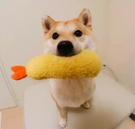 这就是别人家的员工餐视频,这就是别人家的爸爸原版视频