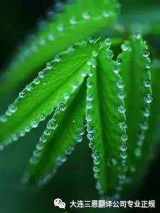 母亲节妈妈快乐的源泉,母亲节快乐母爱是一种力量