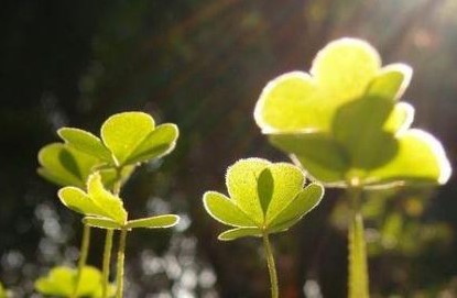 如何在电子商务盛行的时代，安静的做一个微商？（三）