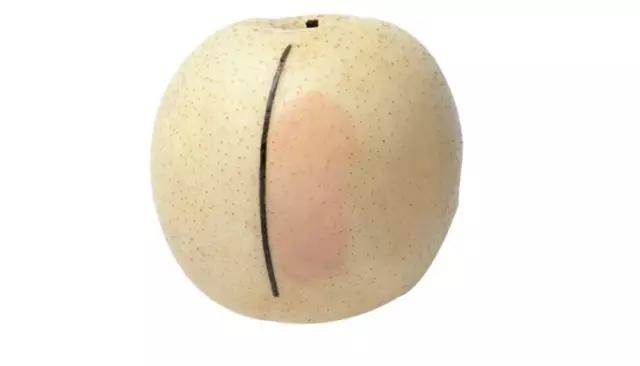 气垫哪一款比较好用,最好用的气垫排行适合干皮