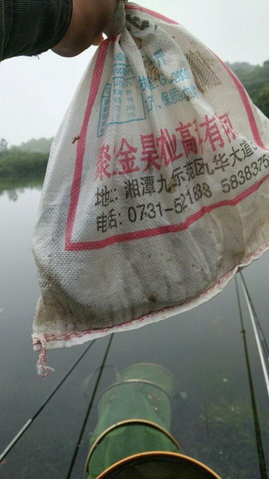 最全防蛇指南之如何防止被蛇咬伤,钓鱼途中遇到水蛇怎么办