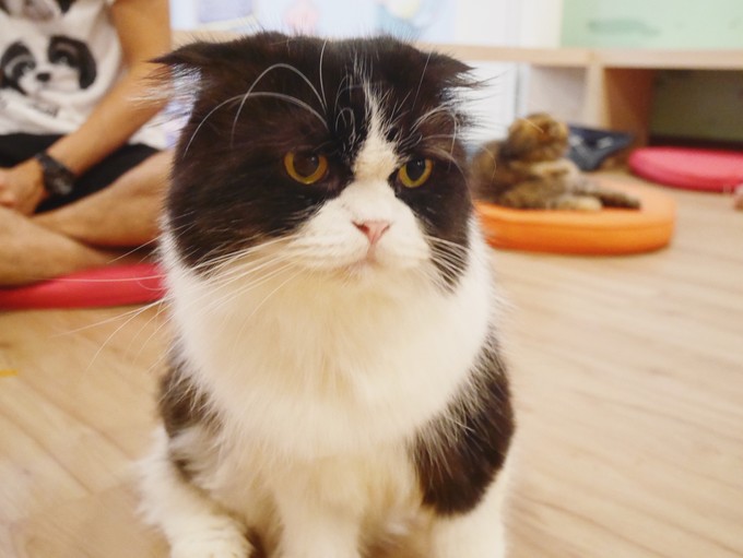 三天吃遍曼谷精选美食（给第一次去曼谷的你）