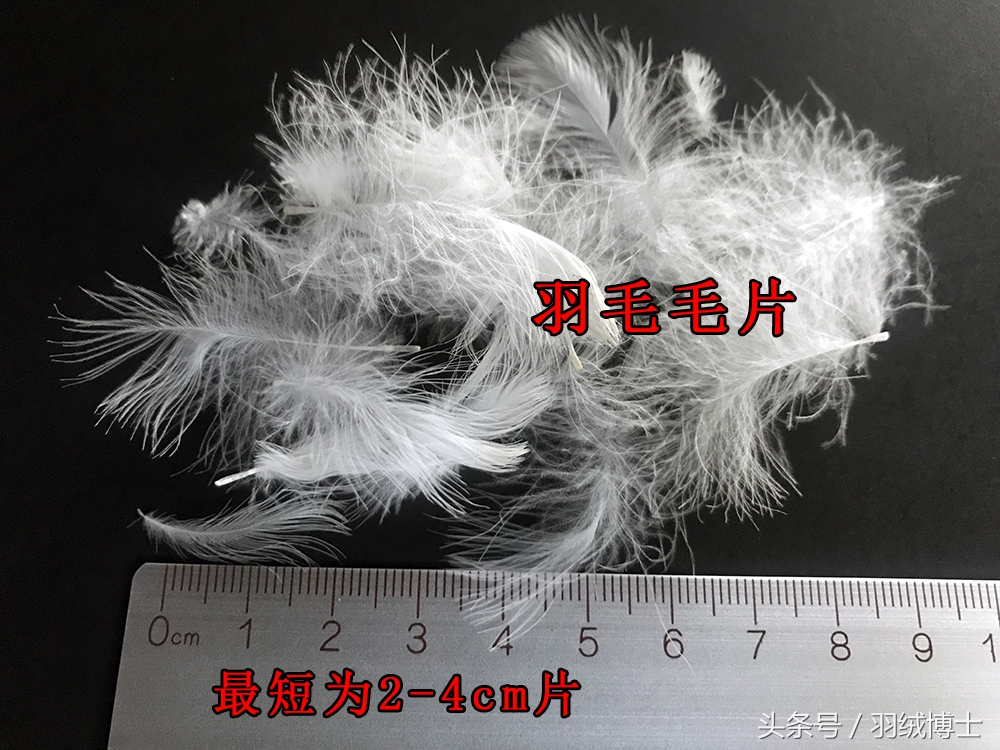 生产假冒伪劣羽绒服,羽绒服假冒伪劣产品