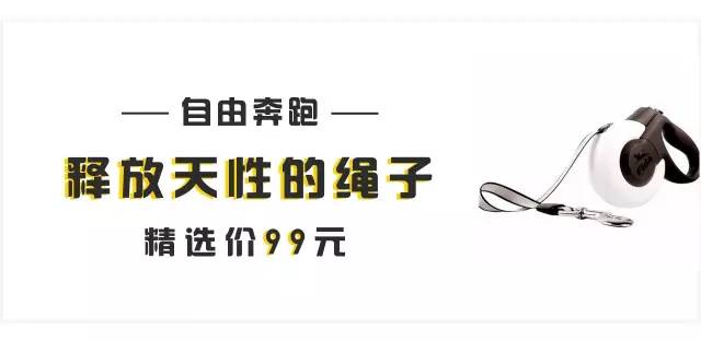 办狗证疑问在线解答,福州狗证办理多长时间能拿到狗证