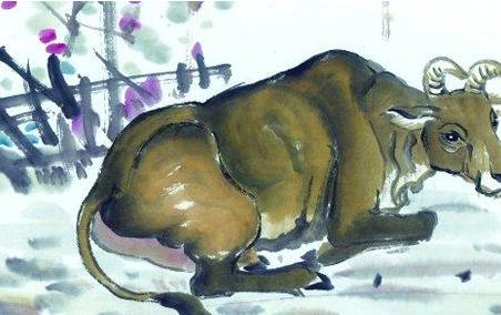 57岁属牛人的一生,66岁属牛人的一生