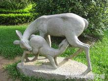 十二生肖由来的动画视频,十二生肖猴子真正的由来