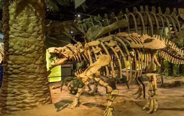 天津超好玩的几大地方,天津景点门票价格一览表最新