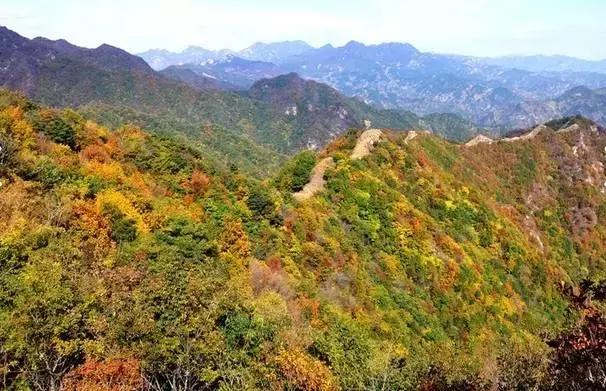 天津超好玩的几大地方,天津景点门票价格一览表最新