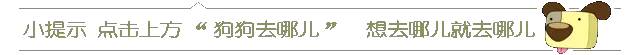 狗狗鼻子褪色吃什么能补回来,狗狗鼻头褪色能恢复吗
