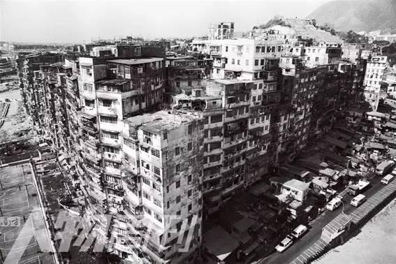 江一燕靠什么上位,江一燕讲经历