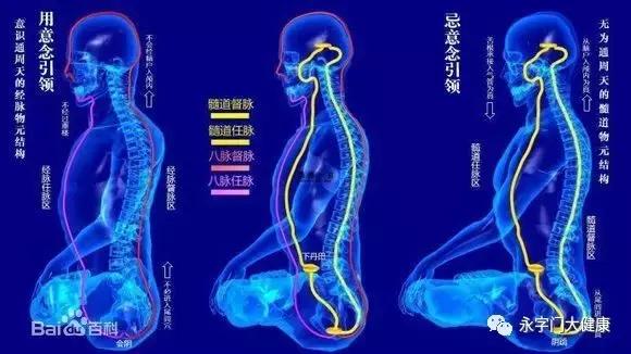 奇经八脉理论完整版,奇经八脉详解视频