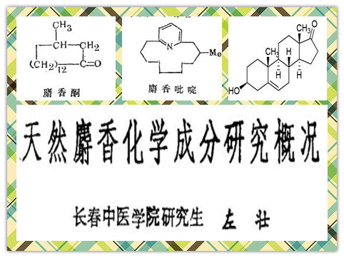 人工麝香和天然麝香区别,什么是天然麝香和人工麝香