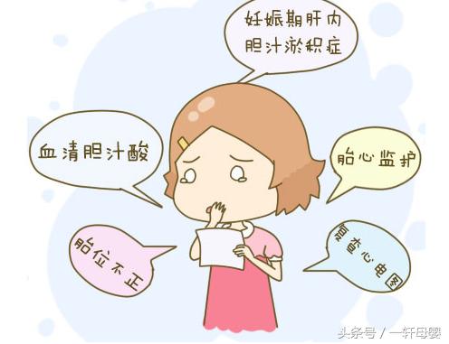 孕妈孕期检查单,孕妈的产检单