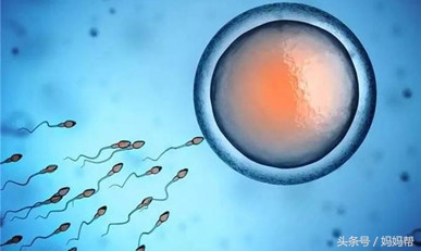 备孕需要关注这8件事,备孕期间怎么做对未来宝宝有影响