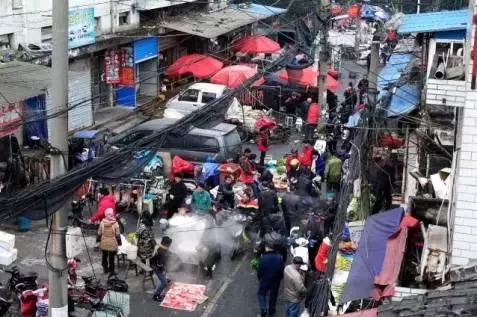 杭州为什么可以大规模拍地,杭州大规模拍地