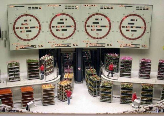 全球最适合华人居住的城市,年轻人最想去的top5城市