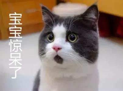 被动物咬伤了怎么办安全教案,被动物咬伤怎么办安全教育