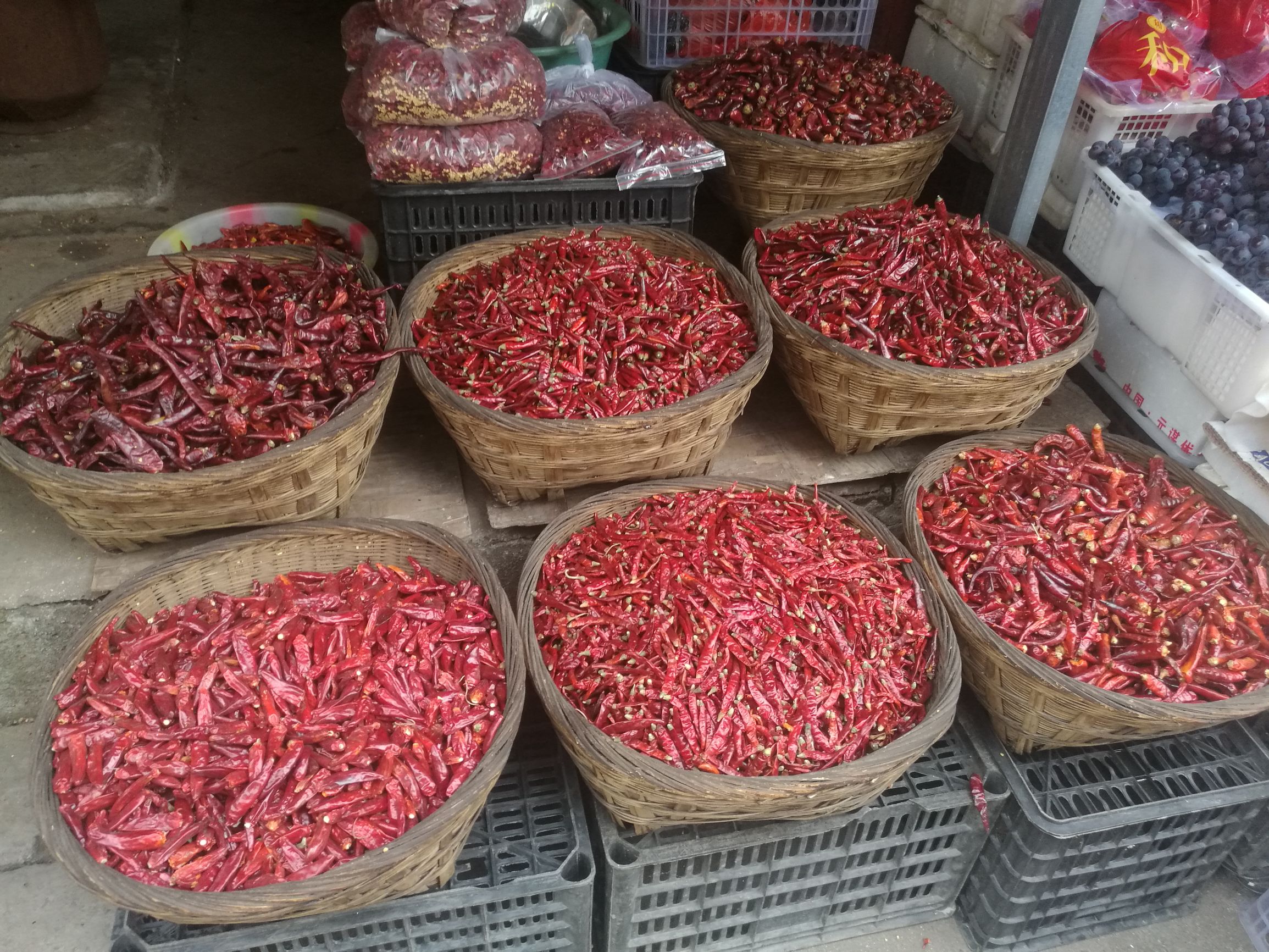 一切都是最平淡最好的遇见丨踯躅在贵阳火车站附近