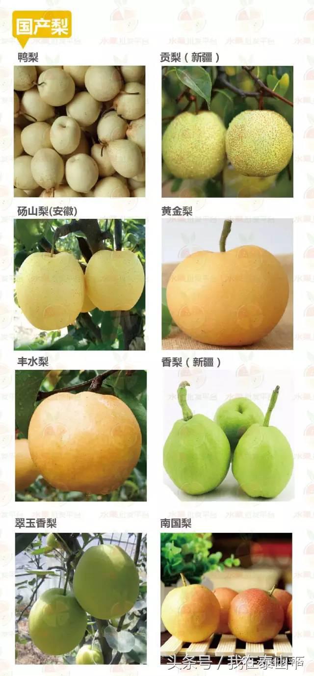 水果分类分为哪几类,超市水果分类表一览表