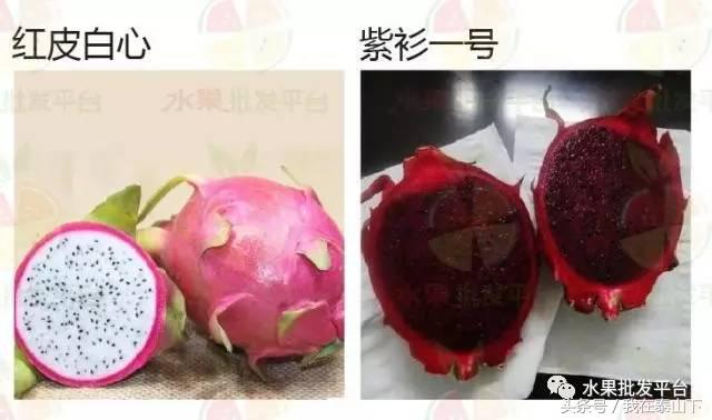 水果分类分为哪几类,超市水果分类表一览表