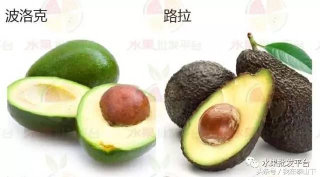 水果分类分为哪几类,超市水果分类表一览表