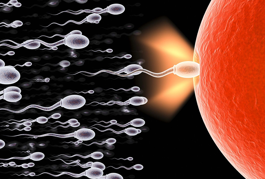 科学家找到太空培育器官,科学家在太空中创造物质