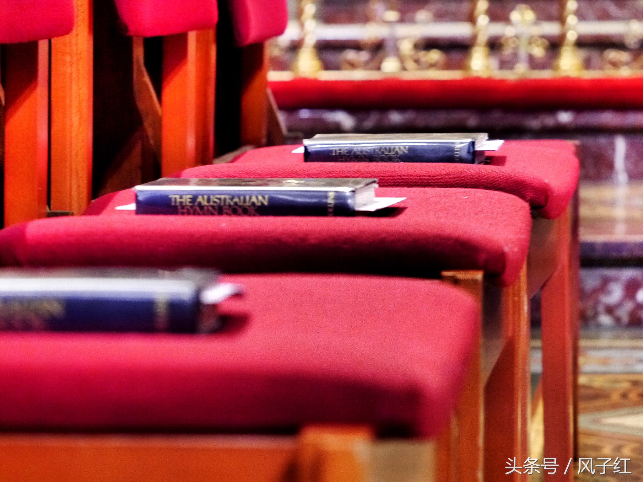 CityTour丨弃车暴走墨尔本，看看人家的街头文化