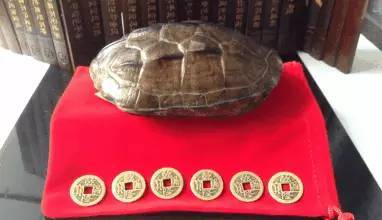 易经每日一招全解,如何学周易的各种卦象图解