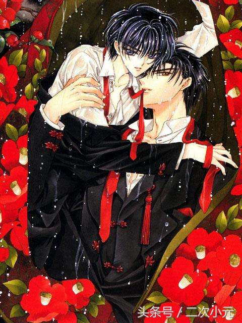 clampx战记幻城,clamp漫画x战记