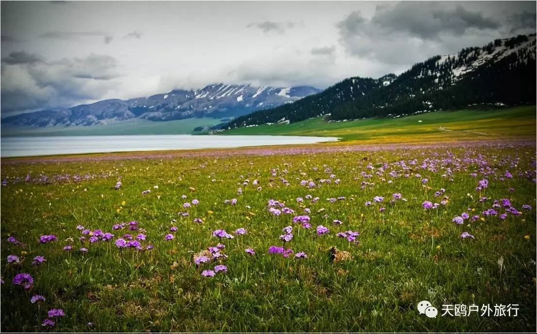 几月份去新疆飞机票最便宜,6月份哪里进疆机票优惠