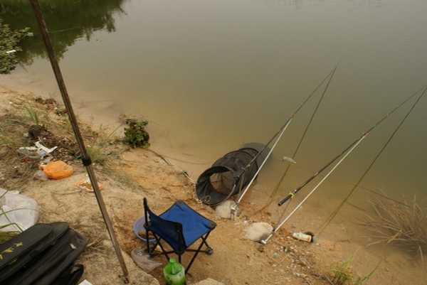 最全防蛇指南之如何防止被蛇咬伤,钓鱼途中遇到水蛇怎么办