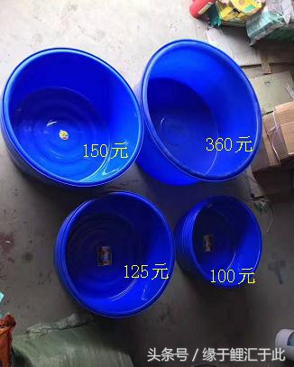 鱼生病三步骤,鱼生病了单独治疗关注事项