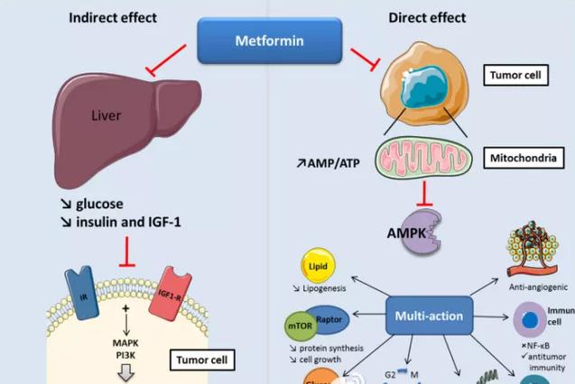 看着1.14亿行走的小糖人，你都没有在怕吗？