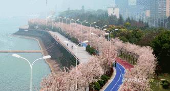 杭州为什么可以大规模拍地,杭州大规模拍地