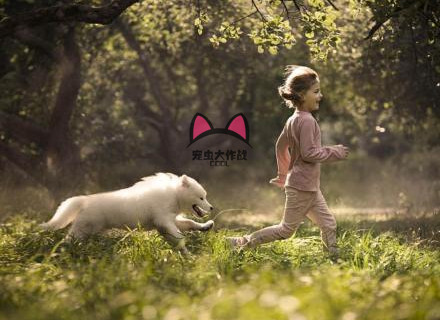 爱宠去世，家里的孩子伤心不已，6种方法让孩子面对宠物死亡