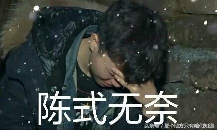 变形计陈新颖后续,变形计2017陈新颖直播