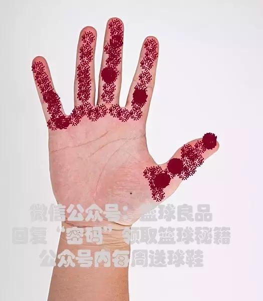 运球跑的正确手型和姿势,正确的运球方法是用手指还是手掌