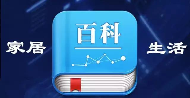 羽绒被的四个世界纪录